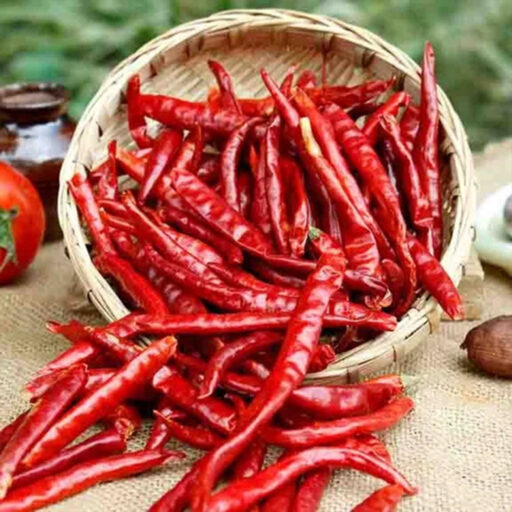 Dry Red Chilli  1KG